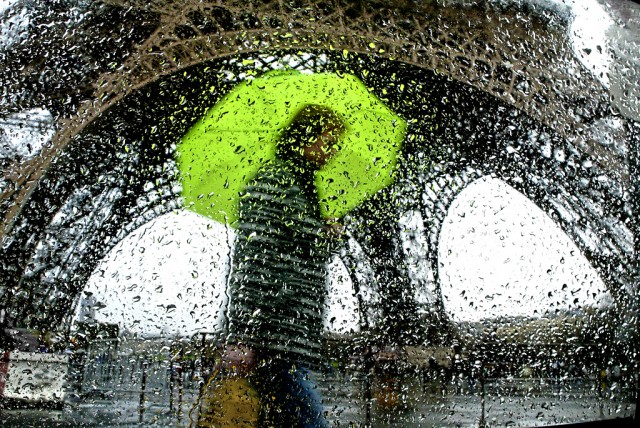 Graines d'eau - Christophe Jacrot