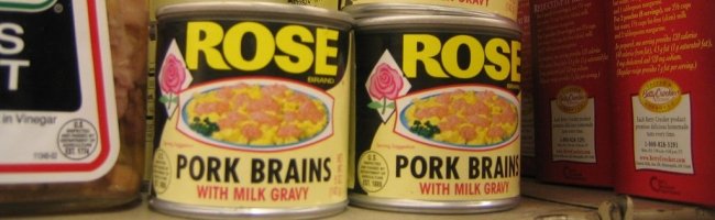 porkbrain porkbrain Twitter avec son cerveau
