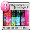 What is terrorism ?
